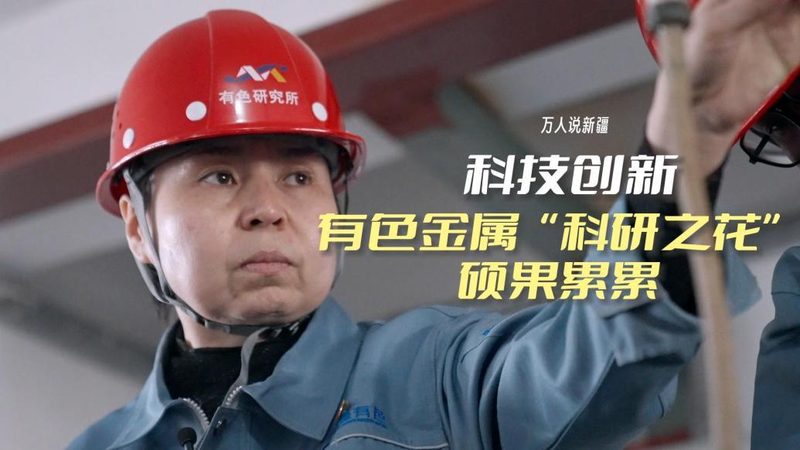 RPA自动化脚本编写报价